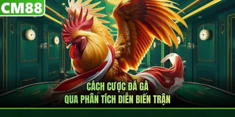 Vì sao cụm từ cách cược đá gà được nhắc đến nhiều?